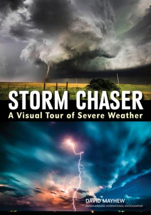 Cover of the book Storm Chaser by Joe McDonald