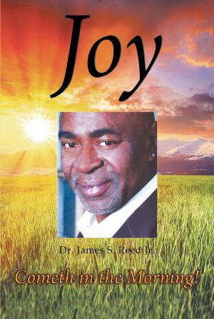 Cover of the book Joy Cometh in the Morning by Ron Hurak