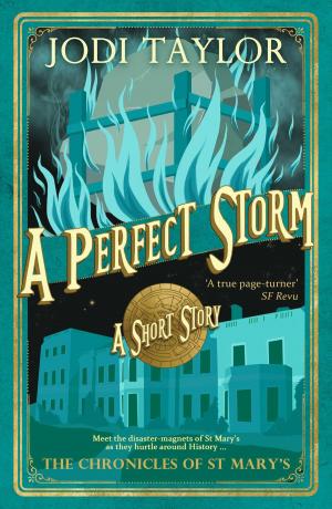 Cover of the book A Perfect Storm by Michael Patrick Lewis