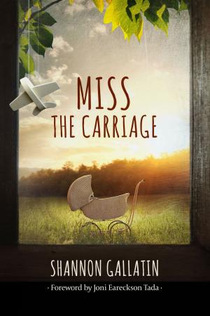 Cover of the book Miss the Carriage by Hannah Amit