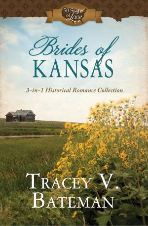 Cover of the book Brides of Kansas by Shari Barr