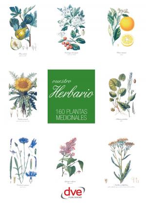 Cover of the book Vuestro herbario. 160 plantas medicinales by Bruno Massa