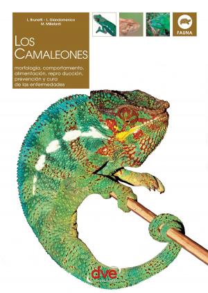 Cover of the book LOS CAMALEONES by Marie-Pascale, Delplancq-Nobécourt