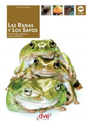 Cover of the book Las Ranas y los Sapos by Guy Barat
