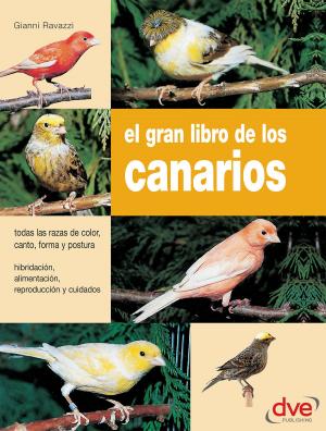 Cover of the book El gran libro de los canarios by Patrizia Cuvello, Daniela Guaiti