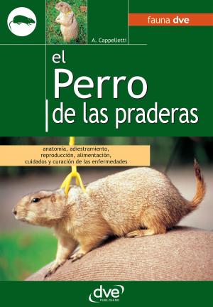 Cover of the book EL PERRO DE LAS PRADERAS by Marta Avanzi
