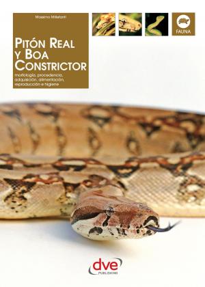 Cover of the book PITÓN REAL Y BOA CONSTRICTOR by Escuela de Idiomas De Vecchi, Carla Franceschetti