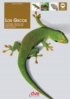Cover of the book Los gecos by Magali Martija-Ochoa