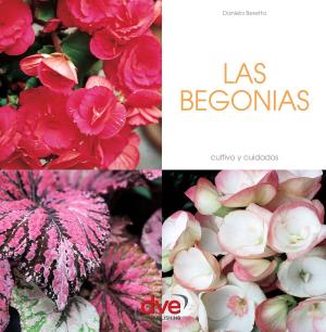Cover of the book LAS BEGONIAS by Sara Gianotti, Simone Pilla