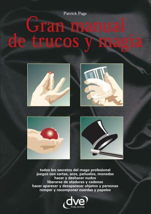 Cover of the book Gran manual de trucos y magia by Florence Desachy