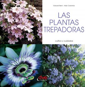 Cover of the book LAS PLANTAS TREPADORAS by Eva Duo
