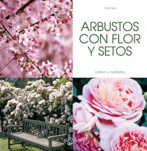 Cover of the book ARBUSTOS CON FLOR Y SETOS by Valerio Sanfo