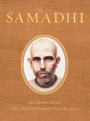 Cover of the book Samadhi by Elise Thornton