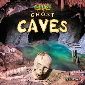 Book cover of Ghost Caves