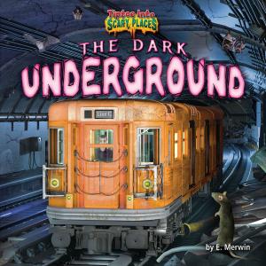 Cover of the book The Dark Underground by Natalie Lunis