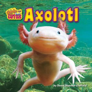 Cover of the book Axolotl by Alan Trussell-Cullen