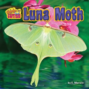 Book cover of Luna Moth