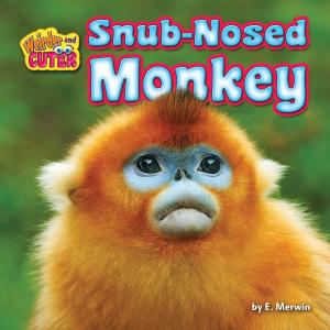Cover of the book Snub-Nosed Monkey by Natalie Lunis
