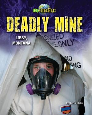 Cover of the book Deadly Mine by Natalie Lunis