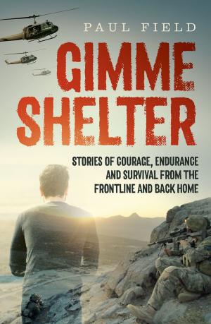 Cover of the book Gimme Shelter: Stories of courage, endurance and survival from the frontline and back home by Susan Elaine Jenkins (Author)
