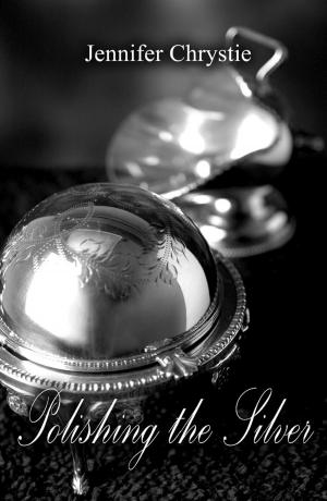 Cover of the book Polishing the Silver by Russell Erwin