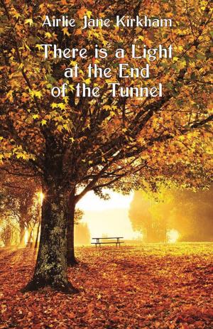 Cover of the book There is a Light at the End of the Tunnel by Ron Barton