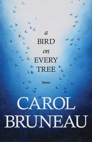 Cover of the book A Bird on Every Tree by Daphne Greer