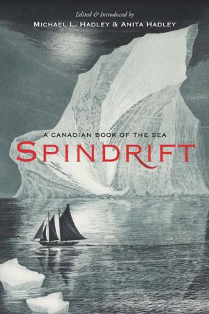 Cover of the book Spindrift by Stephanie Yuen