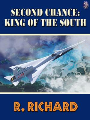 Cover of the book SECOND CHANCE KING OF THE SOUTH by JAMES TRIVERS