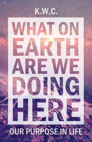Cover of the book What On Earth Are We Doing Here by Adam Wing