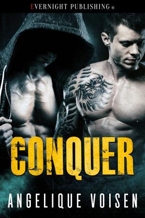 Cover of the book Conquer by Christine Klocek-Lim