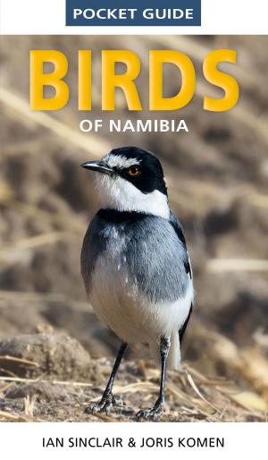 Cover of the book Pocket Guide to Birds of Namibia by John van de Ruit