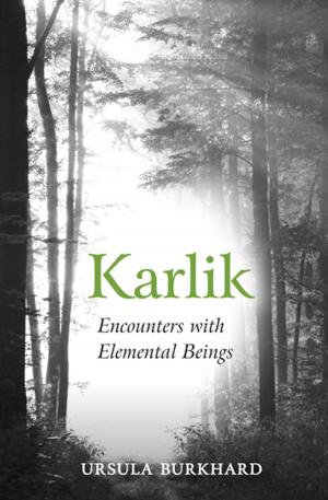 Cover of the book Karlik by Alan Dapré