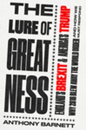 Cover of the book The Lure of Greatness by Annabel Port