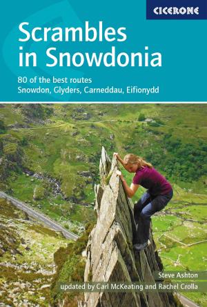 Cover of the book Scrambles in Snowdonia by Steve Davison