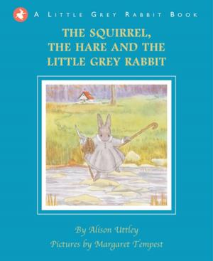 Book cover of The Squirrel, the Hare and the Little Grey Rabbit