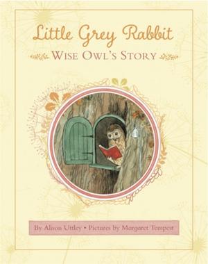 Book cover of Little Grey Rabbit: Wise Owl's Story