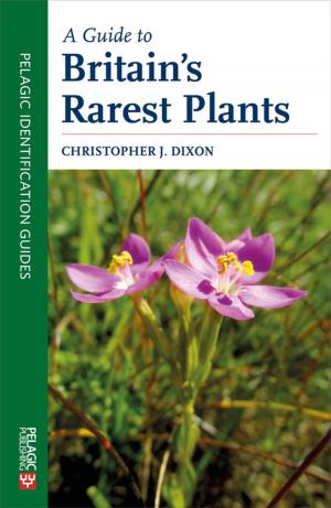 Cover of the book A Guide to Britain's Rarest Plants by Dave Hubble
