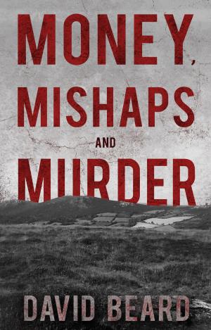 Cover of the book Money, Mishaps and Murder by David Tinney