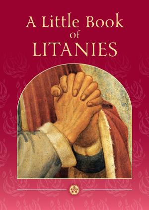 Cover of the book A Little Book of Litanies by Elizabeth Anscombe