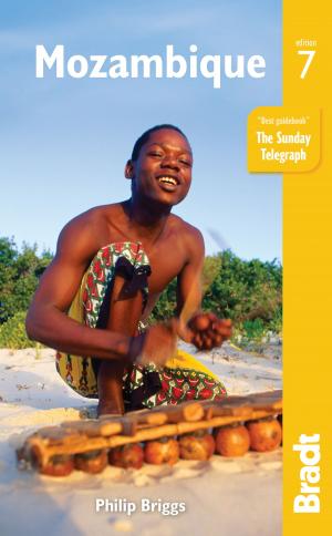bigCover of the book Mozambique by 