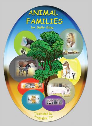 Cover of the book Animal Families by Keith Price