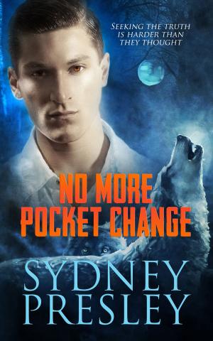 Cover of the book No More Pocket Change by Megan Slayer