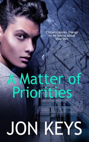 Cover of the book A Matter of Priorities by Xssa Annella