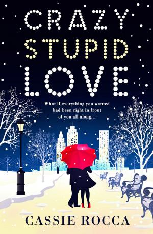 Cover of the book Crazy Stupid Love by Nina M
