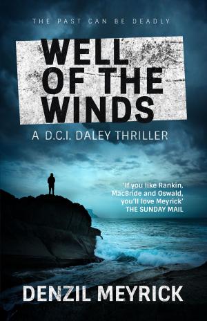 Cover of the book Well of the Winds by Monty Marsden