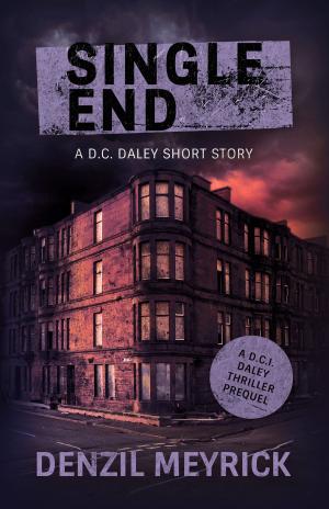 Book cover of Single End: A Short Story