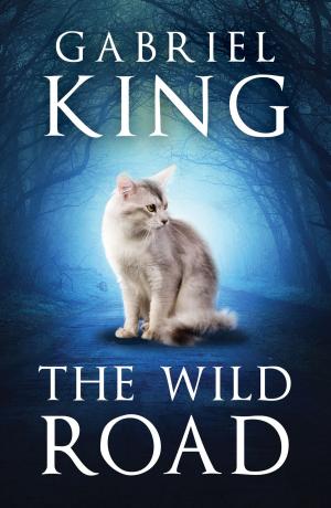 bigCover of the book The Wild Road by 