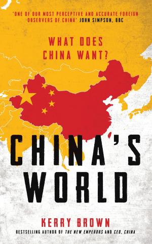 Cover of the book China's World by Dr Rebecca Jinks