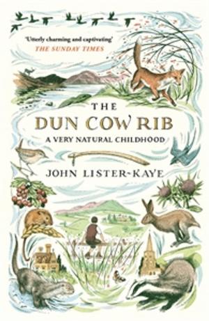 Cover of the book The Dun Cow Rib by Sir Walter Scott